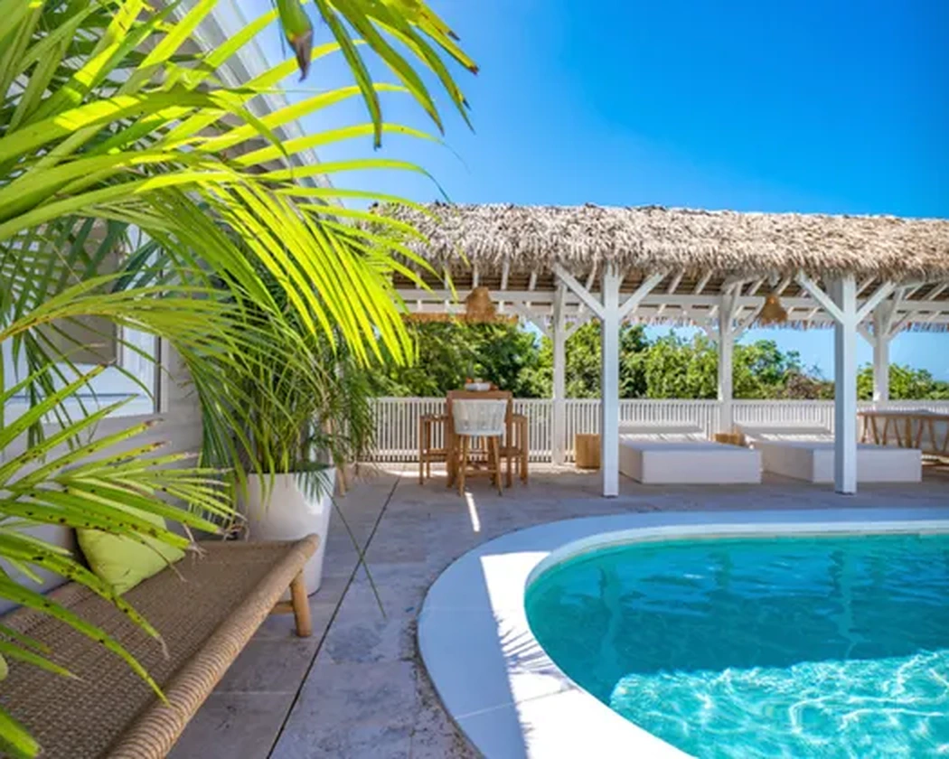 Palms, pool and covered terrace